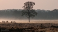 079_Biebrza - kwiecien 2012